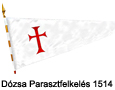 Dózsa György zászló